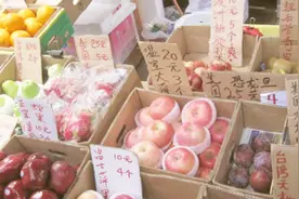 香港一个普通市民，一个月挣多少钱才能活下去？说出来你都不敢信视频封面