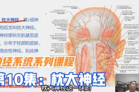 后枕部疼痛僵硬，顽固性偏头痛，头部烧灼痛，可能是枕大神经卡压视频封面