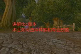 魔兽世界怀旧服：讲解tbc版本，术士如何选择种族和专业技能视频封面
