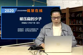 部编版初二八年级语文 《被压扁的沙子》视频封面