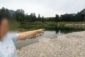 陕西商南：夺命水坑致2名学生溺水身亡 坑从何来仍无交代视频封面