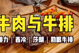 英语学习：西餐文化，腓力、西冷、莎朗、肋眼牛排区别、牛身部位视频封面