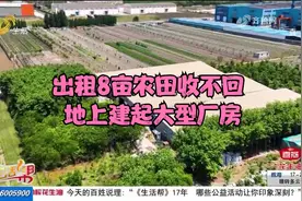 地上建起厂房，出租的8亩农田到期收不回，村民举报多次没结果视频封面
