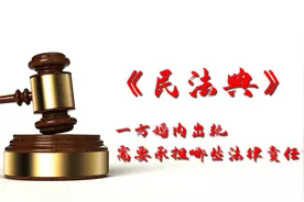 一方婚内出轨,需要承担哪些法律责任？视频封面