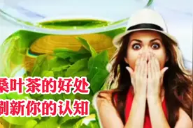 桑叶茶的好处，颠覆你的认知。视频封面