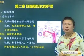 妇产科妊娠期妇女的护理-妊娠生理：受精与着床的特点和时间视频封面