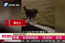 女孩欲轻生，被出来遛弯的狗狗发现！直接跳水去救人！视频封面