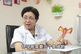 怀孕3个条件，少了谁都不行！