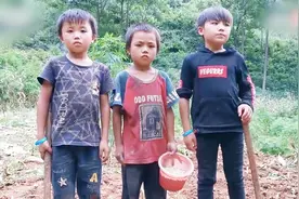 广西河池贫困孩子的生存现状：为吃饱饭3幼童耕种农田视频封面