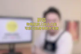 狗狗脐疝：肚皮上的小凸起，可能引起大问题视频封面