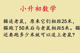 小升初数学：猫追老鼠，追及问题视频封面