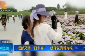 不收门票！成都这里的绣球花争相开放，又是一处绝美打卡圣地视频封面