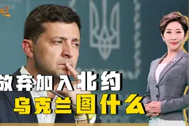 和谈关键时刻，乌克兰态度大变，宣布放弃加入北约，目的何在？视频封面