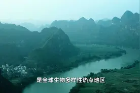 我们的共同家园｜八桂大地 万物共生视频封面