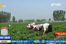 从贫困村到一年增收31.8万，村民收入翻番，看宁阳西场村的振兴路视频封面