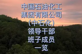 中国石油化工集团有限公司（中石化）领导干部班子成员一览视频封面