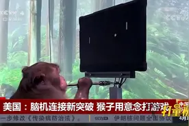马斯克公布猴子用意念打游戏视频，脑机接口技术新突破|中国新闻视频封面