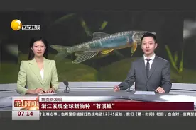 鱼类新发现！浙江发现全球新物种“苕溪鱲”视频封面