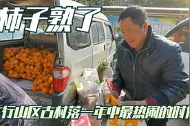 山西太行山区里面有名的“磨盘柿子”熟了，各路收购商云集，只是视频封面