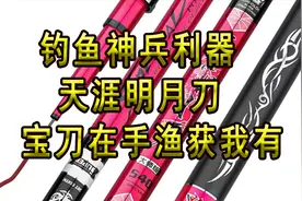 钓鱼神兵利器“海战天涯明月刀”宝刀在手渔获我有，岸边谁与争锋