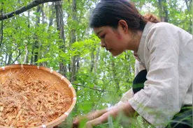 大山深处，小白带你寻找野生“麦冬”，清洗晒干后用来泡茶非常香视频封面