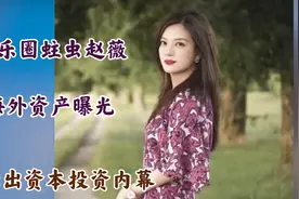 娱圈蛀虫赵薇：海外资产触目惊心，被封竟牵出资本内幕视频封面