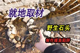 在河里就地取材野生石头，零成本制作捕鱼陷阱，这次尝试能否成功视频封面