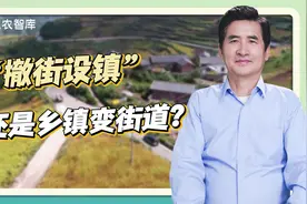 “撤街设镇”还是乡镇变街道？郑风田：人口是关键因素视频封面