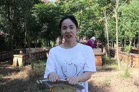 传说中的石头蜂蜜，你是否也上当过？听养蜂人来科普说一说视频封面