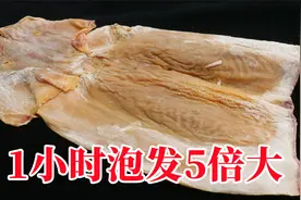 泡发鱿鱼时，用清水就错了！老渔民教你1个窍门，1小时泡发5倍大视频封面