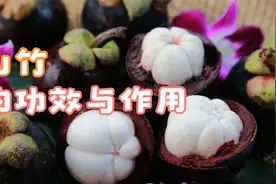 山竹的功效与作用视频封面