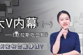 爆料！做自媒体为什么别人能拥有百万粉丝？带你1分钟解析！视频封面