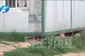 “恶犬”咬人背后隐情让人泪目：流浪狗妈妈拼全力护崽视频封面