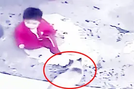 英勇救主！监拍：1岁男婴楼梯口险跌落 宠物猫极限操作救“少主”视频封面