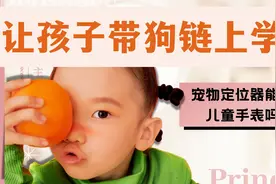 让孩子戴狗链上学？宠物定位器能替代儿童手表吗？视频封面