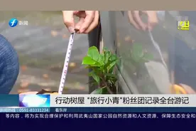 树还能长在汽车上？小榕树从车门缝冒出还茁壮成长，车主表态了视频封面
