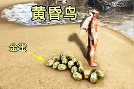 方舟生存进化：我训的黄昏鸟是不孕不育吗？为啥不下蛋