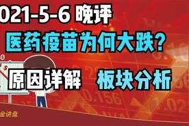 5-6晚评：医药疫苗板块为何大跌？原因找到了！板块分析！视频封面