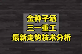 三一重工、金种子酒，最新信号解析，接下来怎么走视频封面