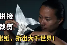 折纸天才秦坤：不拼接、不裁剪、一张纸，折出大千世界！视频封面