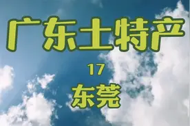 广东土特产东莞篇视频封面
