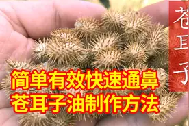 平时不起眼的苍耳子，竟对鼻炎患者的鼻塞有妙用？制作方法请收好视频封面