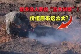 野外没人要的“巨大树根”！大叔锯开一看，才发现价值原来这么大视频封面