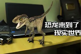 电脑里的恐龙从屏幕里钻了出来，趁主人不在家，开启一场奇妙之旅视频封面