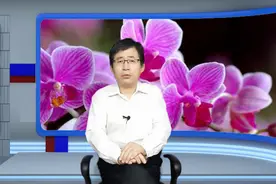 躁狂症抑郁症能不能除根？听听专家说的三个方面10条建议视频封面