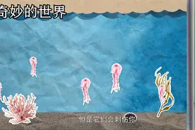 奇妙的世界：为什么水母会蜇人，它们是把我们当成猎物了吗视频封面