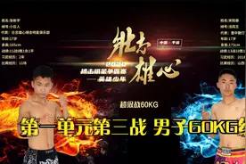 第一单元第三局  宋阳泰vs张新宇视频封面
