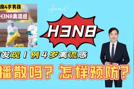 河南1例人感染H3N8禽流感病例，系4岁男孩，会大范围传播吗？视频封面