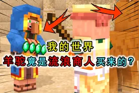 MC故事篇：流浪商人和羊驼从何而来？羊驼遇害，被商人花钱救下