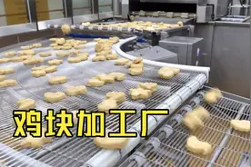 鸡块是如何在工厂制作的？视频封面
